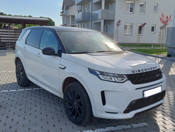 Land Rover Discovery Sport cena 109000 przebieg: 35000, rok produkcji 2021 z Sulęcin małe 301